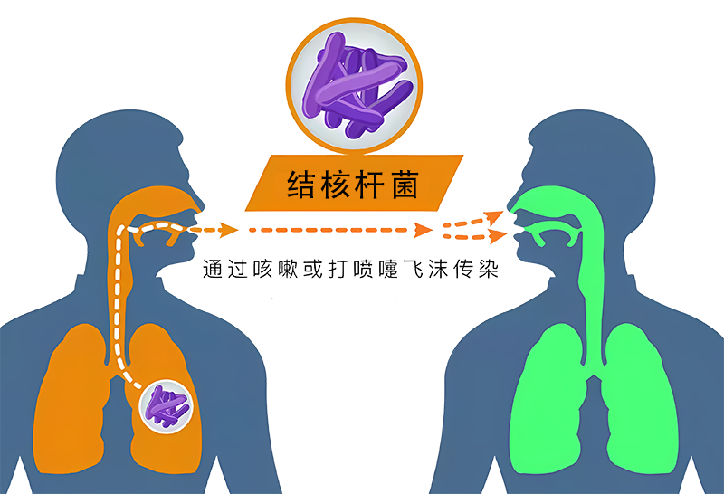 1730685935821483.png 1730685935821483.png